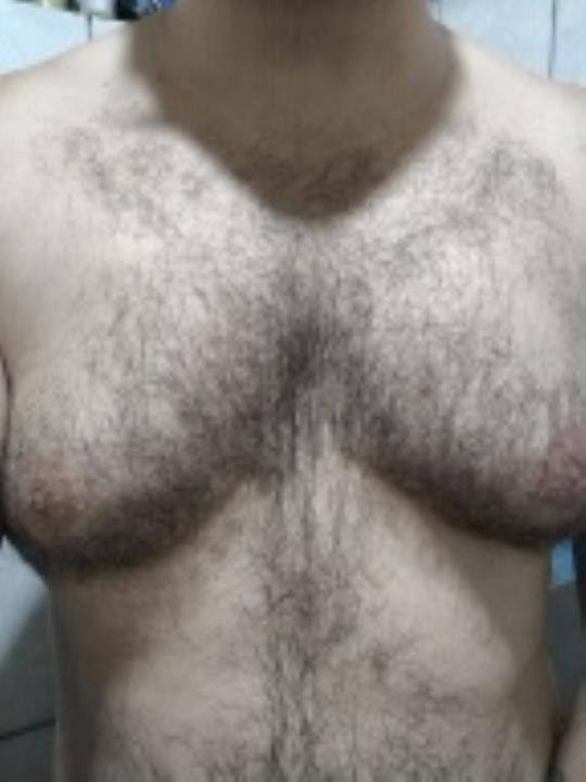 Urso do Agro.