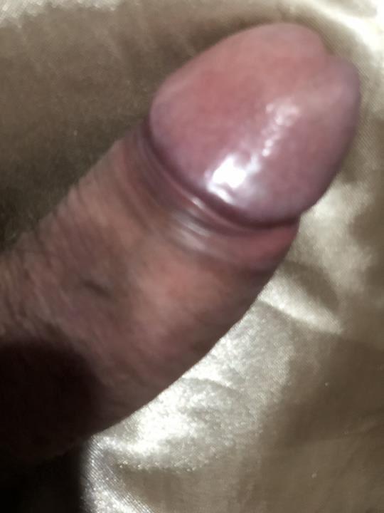 Quero Homens Maduros de sessenta e cinco ou mais anos
