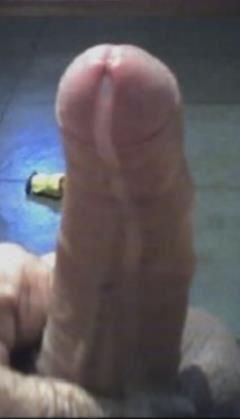 Bora gozar