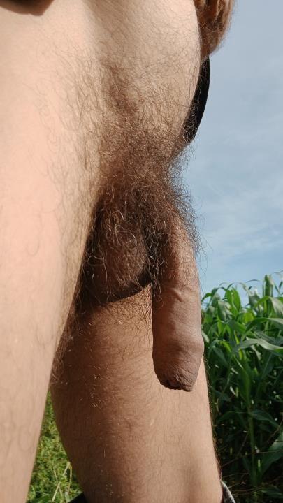 file.jpeg 1755969326 original