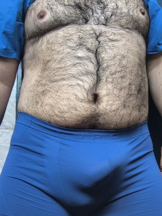 Urso de Campinas SP afim de amizade e algo mais