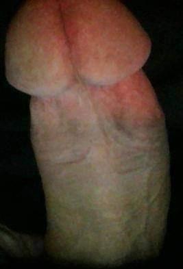 Quero chupar um pau bem gostoso...Não curto ser penetrado, mas deixo lamber meu cusinho se quiser.. NÃO TENHO LOCAL.