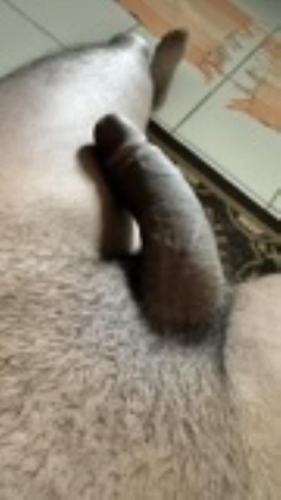 file.jpeg 1775931324 original