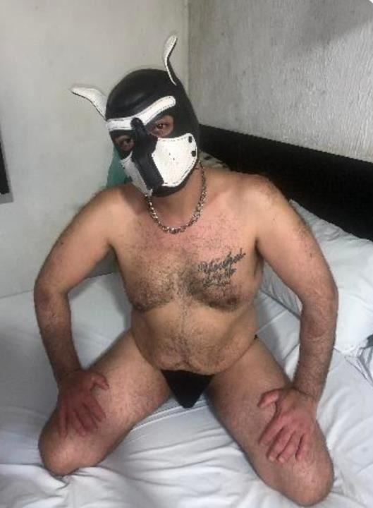 Mamador guloso sem frescura
